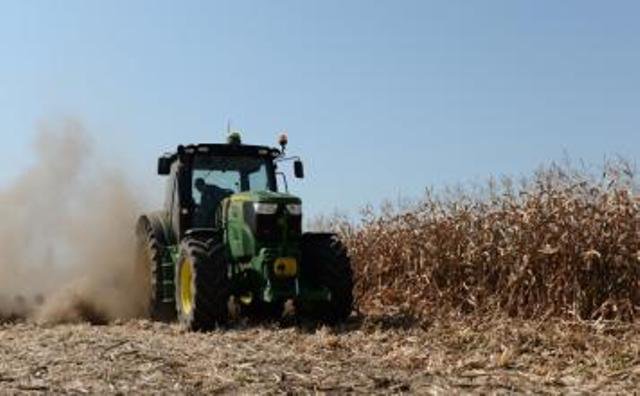 Veste bună! Se dă pământ gratuit dacă vrei să începi o afacere în domeniul agricol