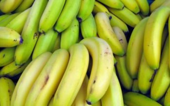 Avantajele consumului de banane verzi