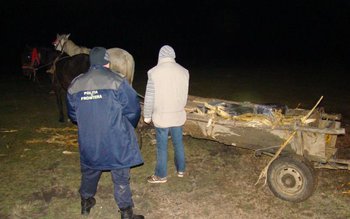 Ţigări de contrabandă depistate ascunse …