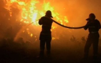 Magazin mixt distrus într-un incendiu. …