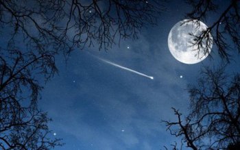 În ziua de Crăciun vom …