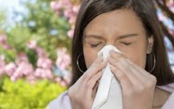 Plante medicinale care îți desfundă …