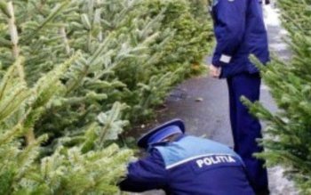 Comerciant ghinionist, sancţionat de poliţiştii …