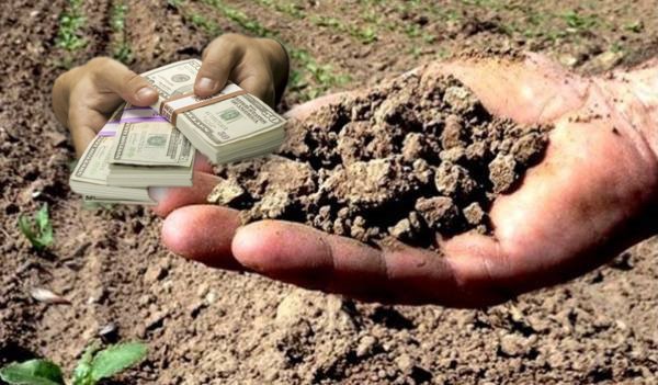 Anunț important! Se începe plata despăgubirilor pentru secetă. La nivelul județului Botoșani au fost depuse aproximativ 9000 de cereri