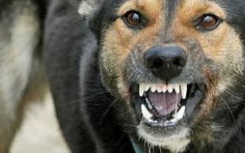 Bărbat salvat de jandarmi dintr-un …