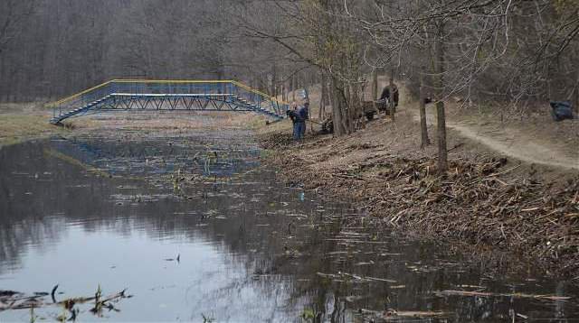 Consiliul Judeţean Botoşani va reabilita „Lacul cu nuferi” de la Ipoteşti