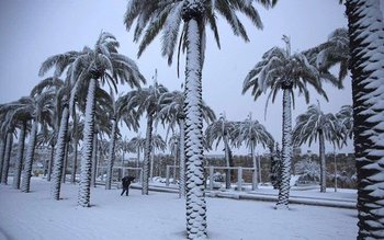 În Arabia Saudită a nins …