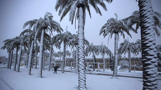 În Arabia Saudită a nins pentru prima oară, după 85 de ani - FOTO