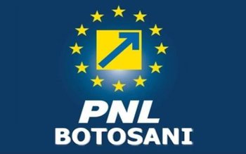 PNL și-a desemnat candidații pentru …