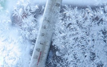 Ger în toată ţara. Patru …