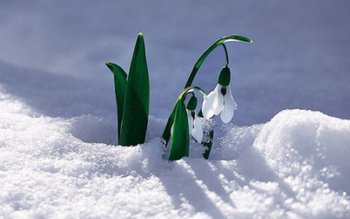 Anunțul meteorologilor. Cum va fi …