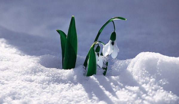 Anunțul meteorologilor. Cum va fi vremea în următoarele două săptămâni!