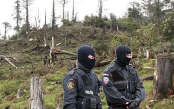 Garda Forestieră – „DNA-ul padurilor” …