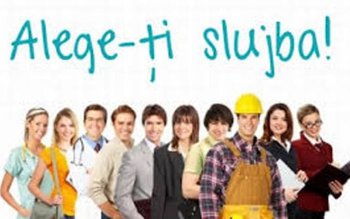 AJOFM Botoșani organizează în luna …