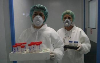 Pericol de gripă porcină la …