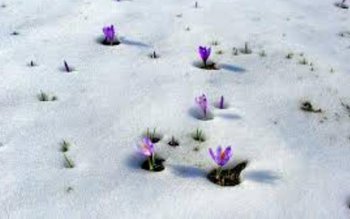 Începem săptămâna cu lapoviță și …