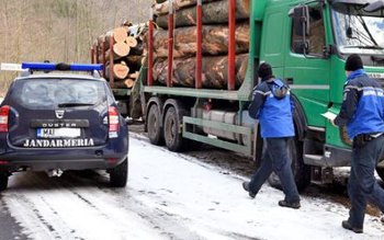 Peste 400 de sancţiuni contravenţionale, …