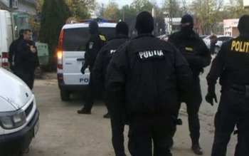 Mafia lemnului, sub drujba poliției! …