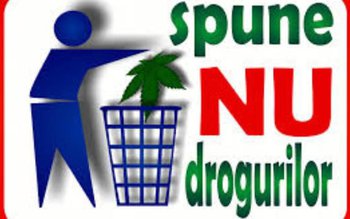 „Tentaţii iluzorii”, proiect desfăşurat de …