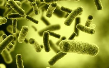 Alertă din cauza unei bacterii. …
