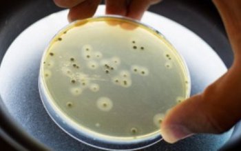 Alertă! Toate lacurile de pe …