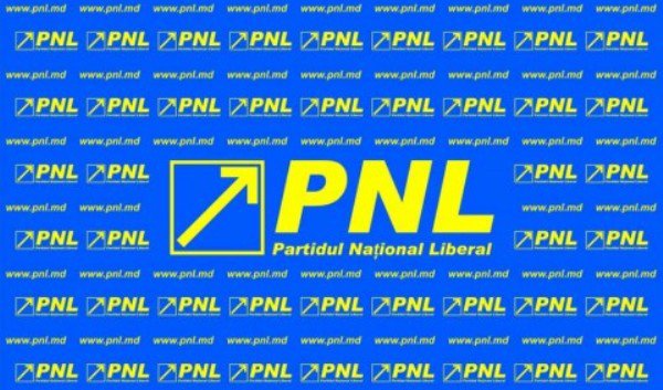 PNL și-a desemnat candidatul pentru funcția de președinte a Consiliului Județean Botoșani