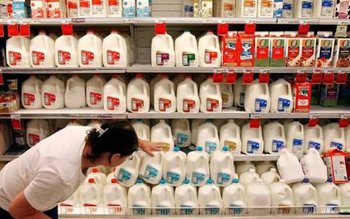 Noi reguli pentru vânzarea laptelui …