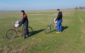 Ţigări de contrabandă transportate cu …