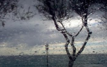 Anunţ de la meteorologi. Vremea …