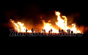 Incendiu devastator! Aproximativ 30 de …