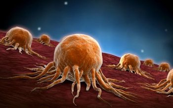 Adevărata cauză a cancerului. Ce …