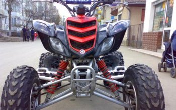 Doi minori la plimbare cu …