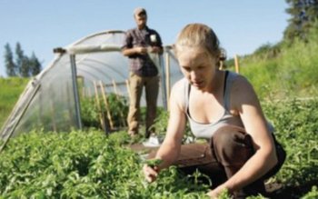 Cum poți să obții 15.000 …