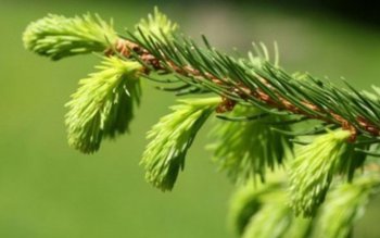 Cum să te tratezi corect …