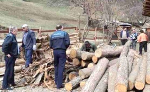 Amenzi de peste opt mii lei aplicate traficanților de materiale lemnoase