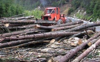 NOU! Licitaţiile pentru valorificarea masei …