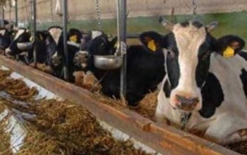 Facilităţi pentru fermieri. Premierul Dacian …