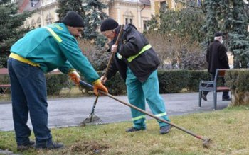 Prefectul de Botoşani a emis …