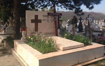 Ce a scris Florin Călinescu …