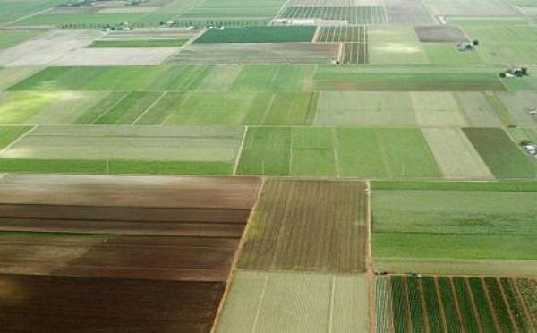 Judeţul din România în care străinii au dat năvală: Au cumpărat mii de hectare de teren agricol într-un singur an!