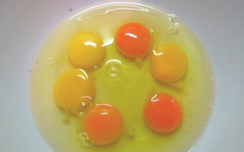 Cum îți dai seama că …