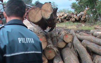 Material lemnos confiscat la Frumuşica