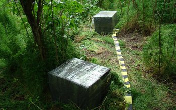 Ţigări în valoare de peste …