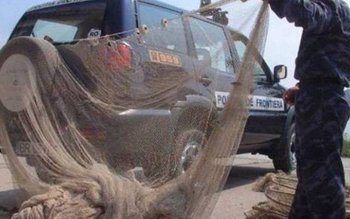 Dosare penale pentru braconaj piscicol.