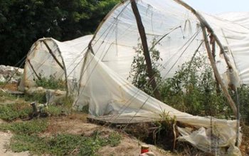 Patru persoane cercetate penal pentru …