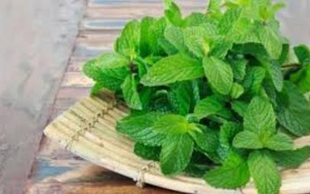 Planta care te ajută să …