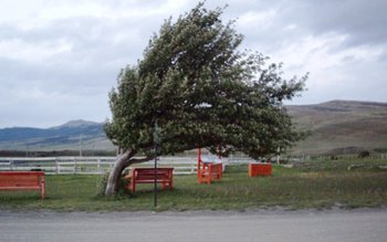 Atenţionare nowcasting: Cod galben de …