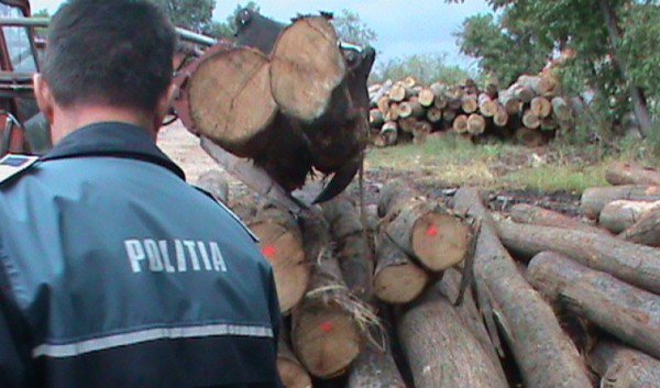 Lemn fără documente legale confiscat de poliţiştii de frontieră la Mihăileni