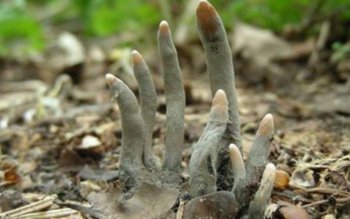 A avut şocul vieţii când …