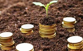 Anunț APIA: Termenul de depunere …